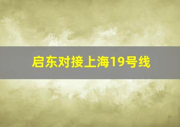 启东对接上海19号线