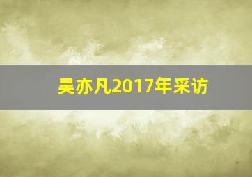 吴亦凡2017年采访