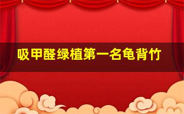 吸甲醛绿植第一名龟背竹