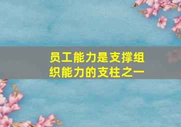 员工能力是支撑组织能力的支柱之一