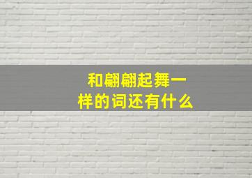 和翩翩起舞一样的词还有什么