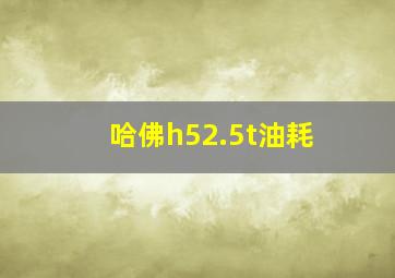 哈佛h52.5t油耗