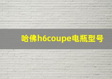 哈佛h6coupe电瓶型号