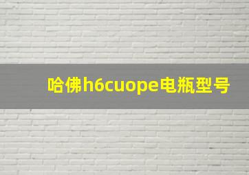 哈佛h6cuope电瓶型号