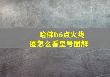 哈佛h6点火线圈怎么看型号图解