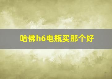 哈佛h6电瓶买那个好