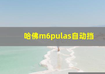 哈佛m6pulas自动挡