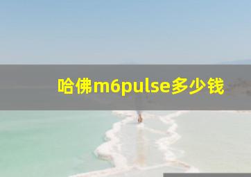 哈佛m6pulse多少钱