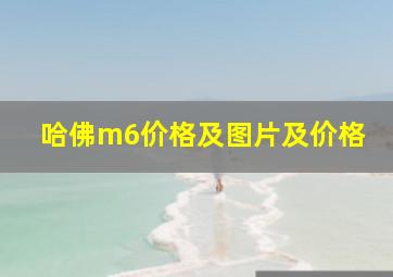 哈佛m6价格及图片及价格