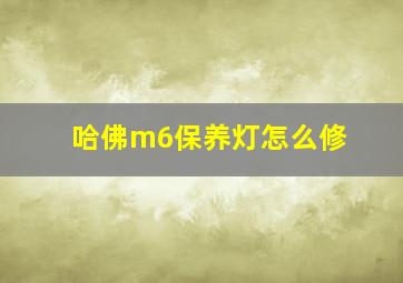 哈佛m6保养灯怎么修