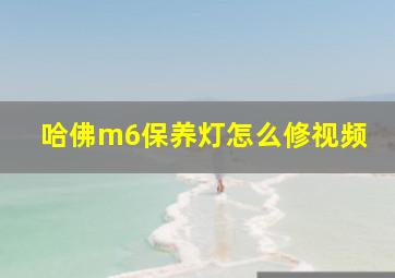 哈佛m6保养灯怎么修视频