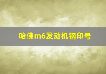 哈佛m6发动机钢印号