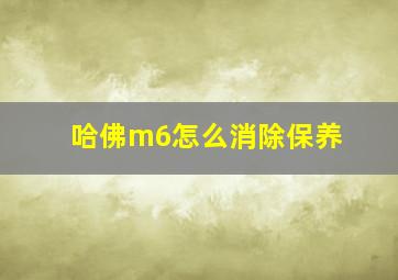 哈佛m6怎么消除保养