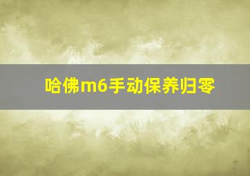 哈佛m6手动保养归零