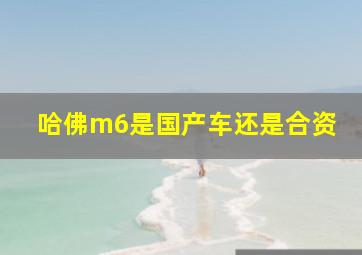 哈佛m6是国产车还是合资