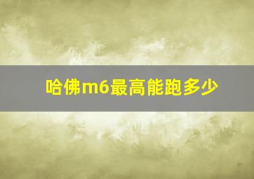 哈佛m6最高能跑多少