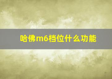 哈佛m6档位什么功能