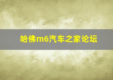 哈佛m6汽车之家论坛