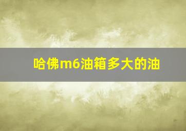 哈佛m6油箱多大的油