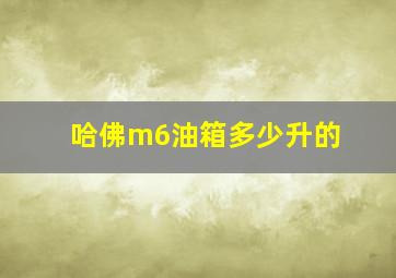 哈佛m6油箱多少升的