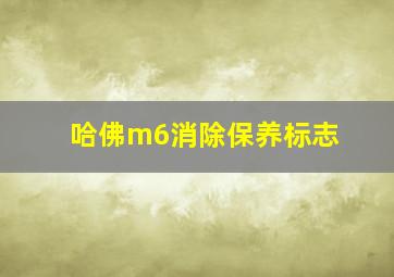 哈佛m6消除保养标志