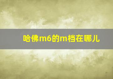 哈佛m6的m档在哪儿