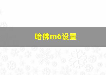 哈佛m6设置