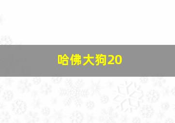 哈佛大狗20