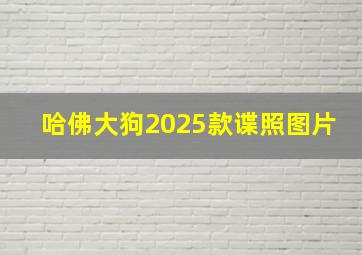 哈佛大狗2025款谍照图片