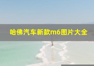 哈佛汽车新款m6图片大全