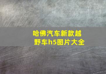 哈佛汽车新款越野车h5图片大全