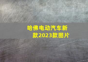 哈佛电动汽车新款2023款图片