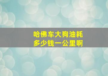 哈佛车大狗油耗多少钱一公里啊