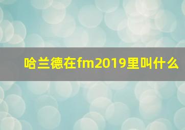 哈兰德在fm2019里叫什么