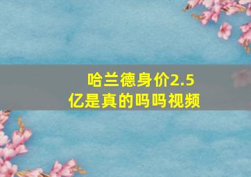 哈兰德身价2.5亿是真的吗吗视频