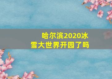 哈尔滨2020冰雪大世界开园了吗