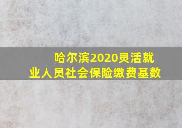 哈尔滨2020灵活就业人员社会保险缴费基数