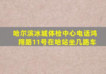 哈尔滨冰城体检中心电话鸿翔路11号在哈站坐几路车