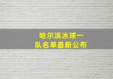 哈尔滨冰球一队名单最新公布