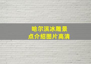 哈尔滨冰雕景点介绍图片高清