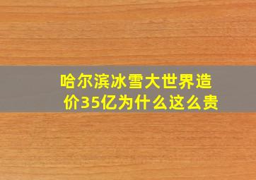 哈尔滨冰雪大世界造价35亿为什么这么贵