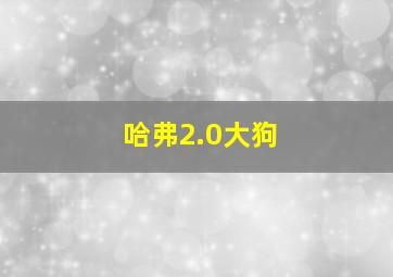 哈弗2.0大狗