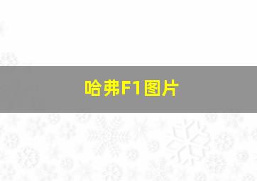 哈弗F1图片