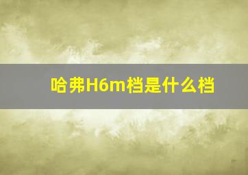 哈弗H6m档是什么档