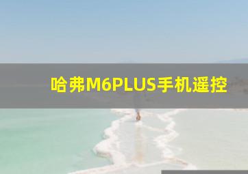 哈弗M6PLUS手机遥控