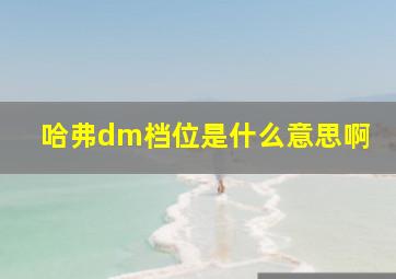 哈弗dm档位是什么意思啊