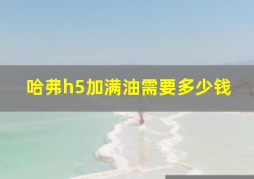 哈弗h5加满油需要多少钱