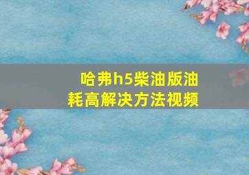 哈弗h5柴油版油耗高解决方法视频