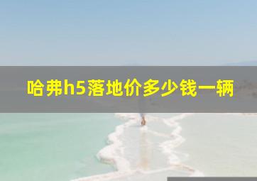 哈弗h5落地价多少钱一辆