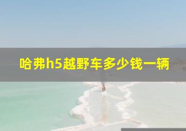 哈弗h5越野车多少钱一辆